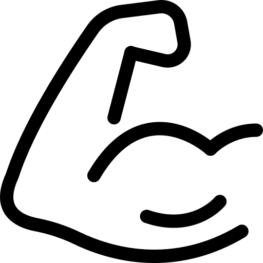 Sistema muscular